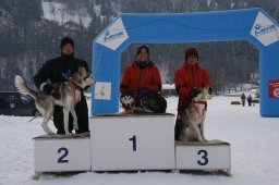 Lenk 2012 SM